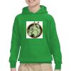 Youth Heavy Blend™ Hooded Sweatshirt Thumbnail
