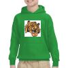 Youth Heavy Blend™ Hooded Sweatshirt Thumbnail