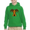 Youth Heavy Blend™ Hooded Sweatshirt Thumbnail