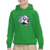 Youth Heavy Blend™ Hooded Sweatshirt Thumbnail