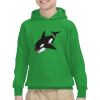 Youth Heavy Blend™ Hooded Sweatshirt Thumbnail