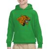 Youth Heavy Blend™ Hooded Sweatshirt Thumbnail