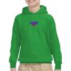 Youth Heavy Blend™ Hooded Sweatshirt Thumbnail