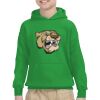 Youth Heavy Blend™ Hooded Sweatshirt Thumbnail