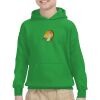 Youth Heavy Blend™ Hooded Sweatshirt Thumbnail