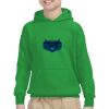 Youth Heavy Blend™ Hooded Sweatshirt Thumbnail