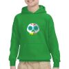 Youth Heavy Blend™ Hooded Sweatshirt Thumbnail