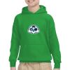 Youth Heavy Blend™ Hooded Sweatshirt Thumbnail