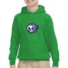 Youth Heavy Blend™ Hooded Sweatshirt Thumbnail