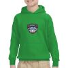 Youth Heavy Blend™ Hooded Sweatshirt Thumbnail