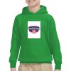 Youth Heavy Blend™ Hooded Sweatshirt Thumbnail