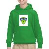 Youth Heavy Blend™ Hooded Sweatshirt Thumbnail