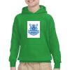Youth Heavy Blend™ Hooded Sweatshirt Thumbnail