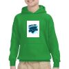 Youth Heavy Blend™ Hooded Sweatshirt Thumbnail