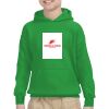 Youth Heavy Blend™ Hooded Sweatshirt Thumbnail