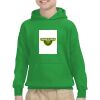 Youth Heavy Blend™ Hooded Sweatshirt Thumbnail