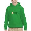 Youth Heavy Blend™ Hooded Sweatshirt Thumbnail