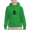 Youth Heavy Blend™ Hooded Sweatshirt Thumbnail