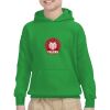 Youth Heavy Blend™ Hooded Sweatshirt Thumbnail