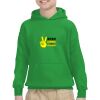 Youth Heavy Blend™ Hooded Sweatshirt Thumbnail