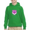 Youth Heavy Blend™ Hooded Sweatshirt Thumbnail