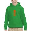 Youth Heavy Blend™ Hooded Sweatshirt Thumbnail