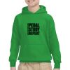 Youth Heavy Blend™ Hooded Sweatshirt Thumbnail