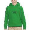 Youth Heavy Blend™ Hooded Sweatshirt Thumbnail