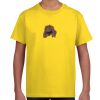 Youth Ultra Cotton® T-Shirt Thumbnail