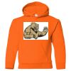 Youth Heavy Blend™ Hooded Sweatshirt Thumbnail