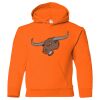 Youth Heavy Blend™ Hooded Sweatshirt Thumbnail