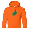 Youth Heavy Blend™ Hooded Sweatshirt Thumbnail