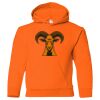 Youth Heavy Blend™ Hooded Sweatshirt Thumbnail
