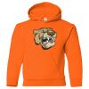 Youth Heavy Blend™ Hooded Sweatshirt Thumbnail
