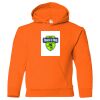 Youth Heavy Blend™ Hooded Sweatshirt Thumbnail