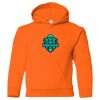 Youth Heavy Blend™ Hooded Sweatshirt Thumbnail