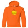 Youth Heavy Blend™ Hooded Sweatshirt Thumbnail